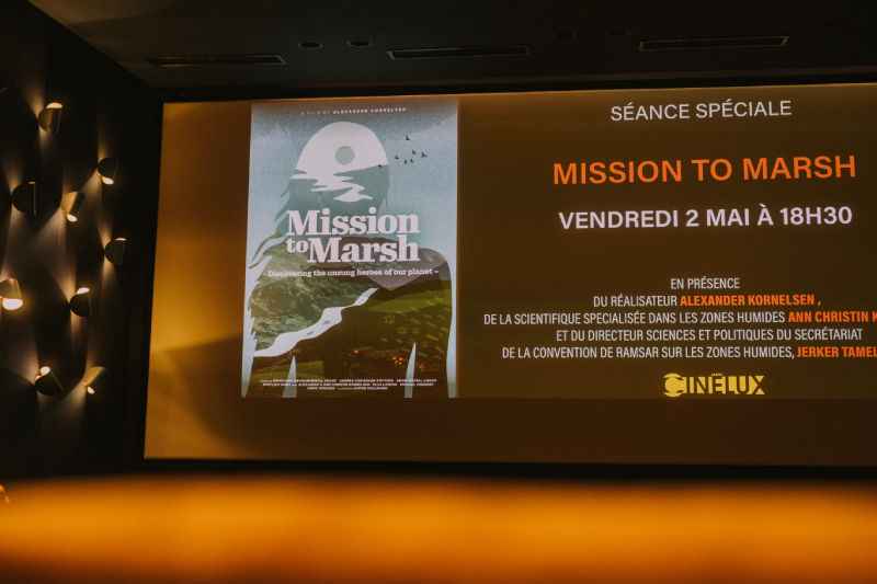 MtM_Filmtour_Favoriten_25-13 Mission to Marsh