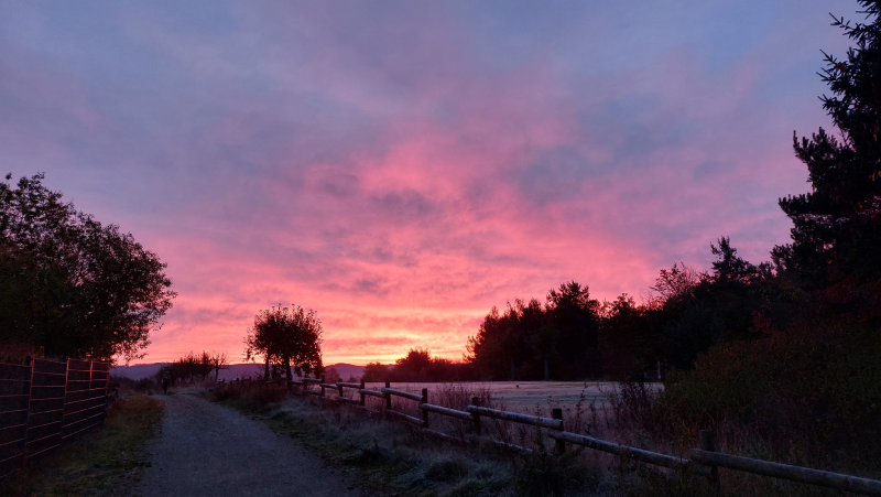 Deutschland-Überwinterer 06